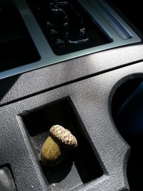 A close-up shot of a car door panel made from recycled ocean plastic, showcasing the texture and innovative use of waste materials in automotive interiors.