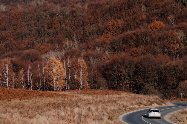 2025 Subaru Outback: Safety, Handling, and Practical Review