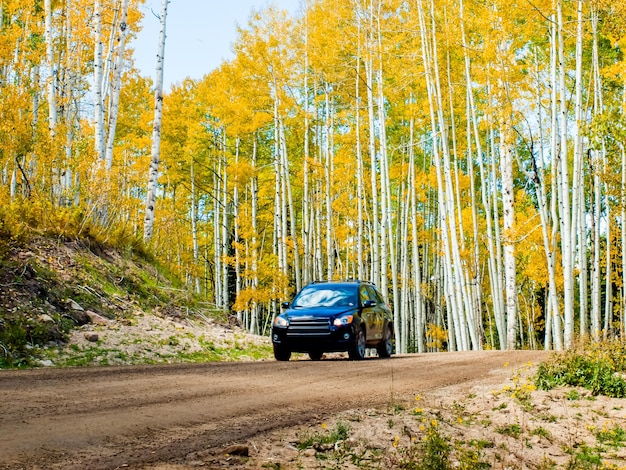 The 2025 Nissan Rogue driving on a slightly uneven gravel road, showcasing its suspension absorbing the bumps.