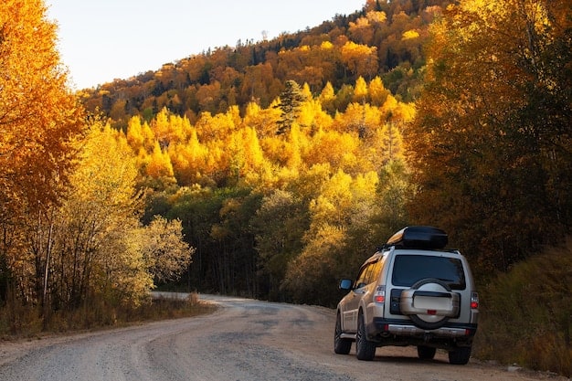 2025 Subaru Outback Review: Safety, Handling, & Practicality